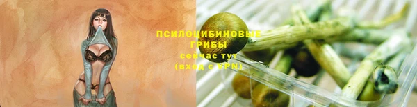 дурь Баксан