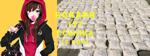 СК Балахна