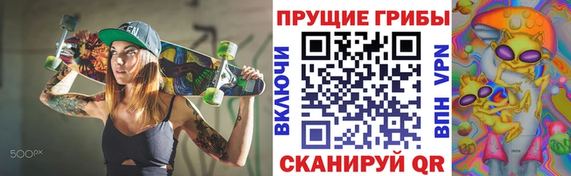 Псилоцибиновые грибы GOLDEN TEACHER Кирово-Чепецк