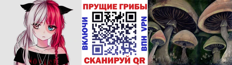 купить наркотики цена  гидра   Галлюциногенные грибы прущие грибы  Кирово-Чепецк 